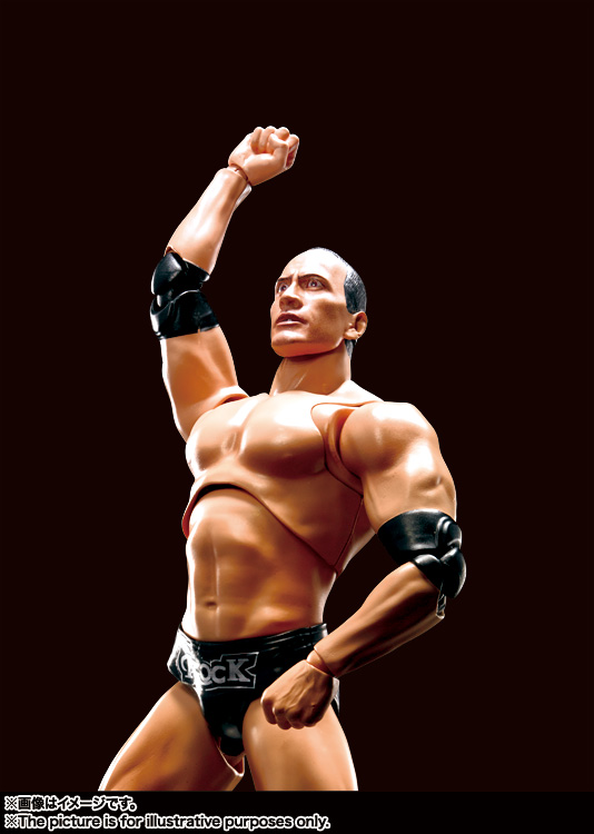 S.H.Figuarts The Rock | 魂ウェブ