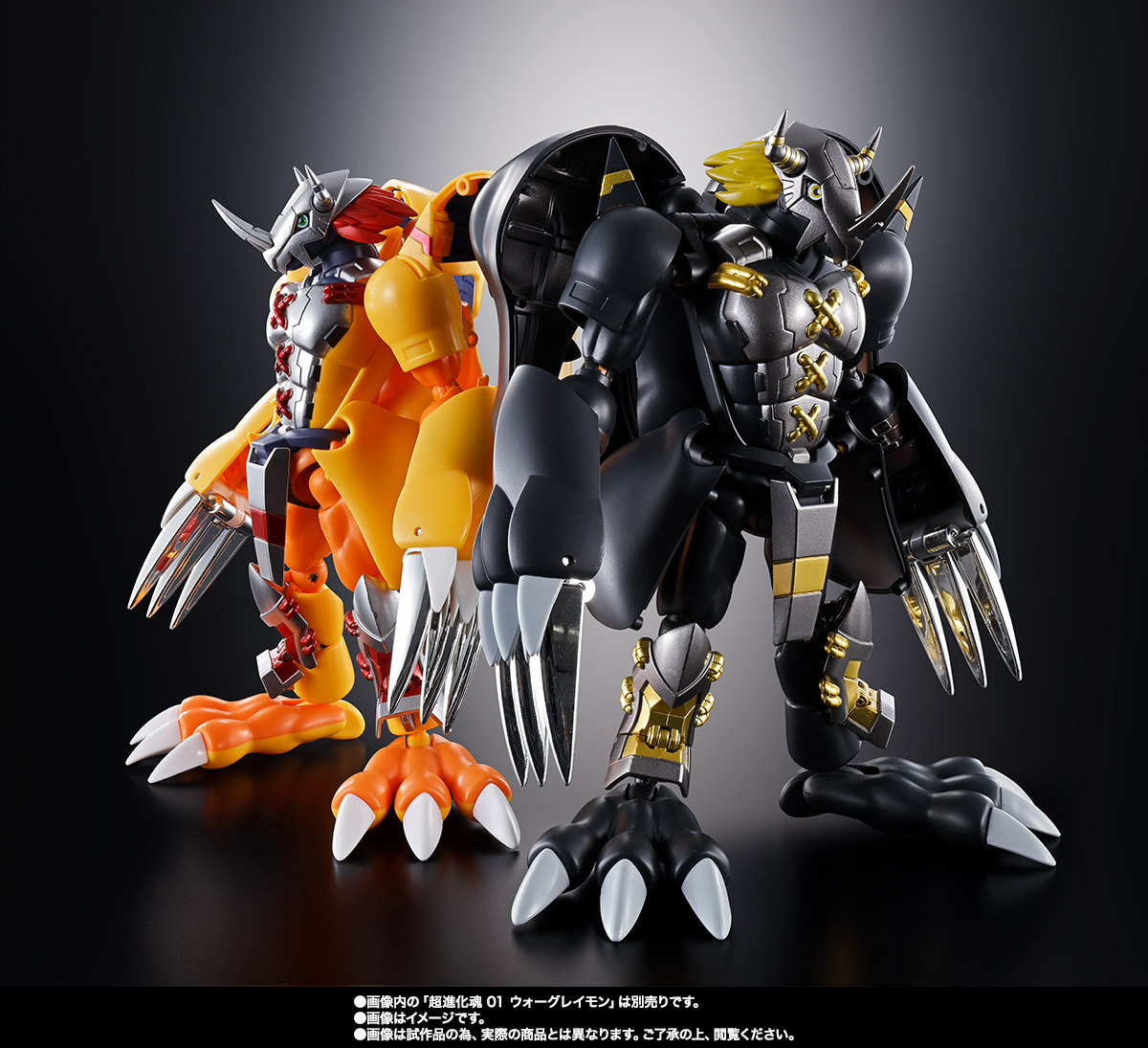 超進化魂 08 ブラックウォーグレイモン | 魂ウェブ