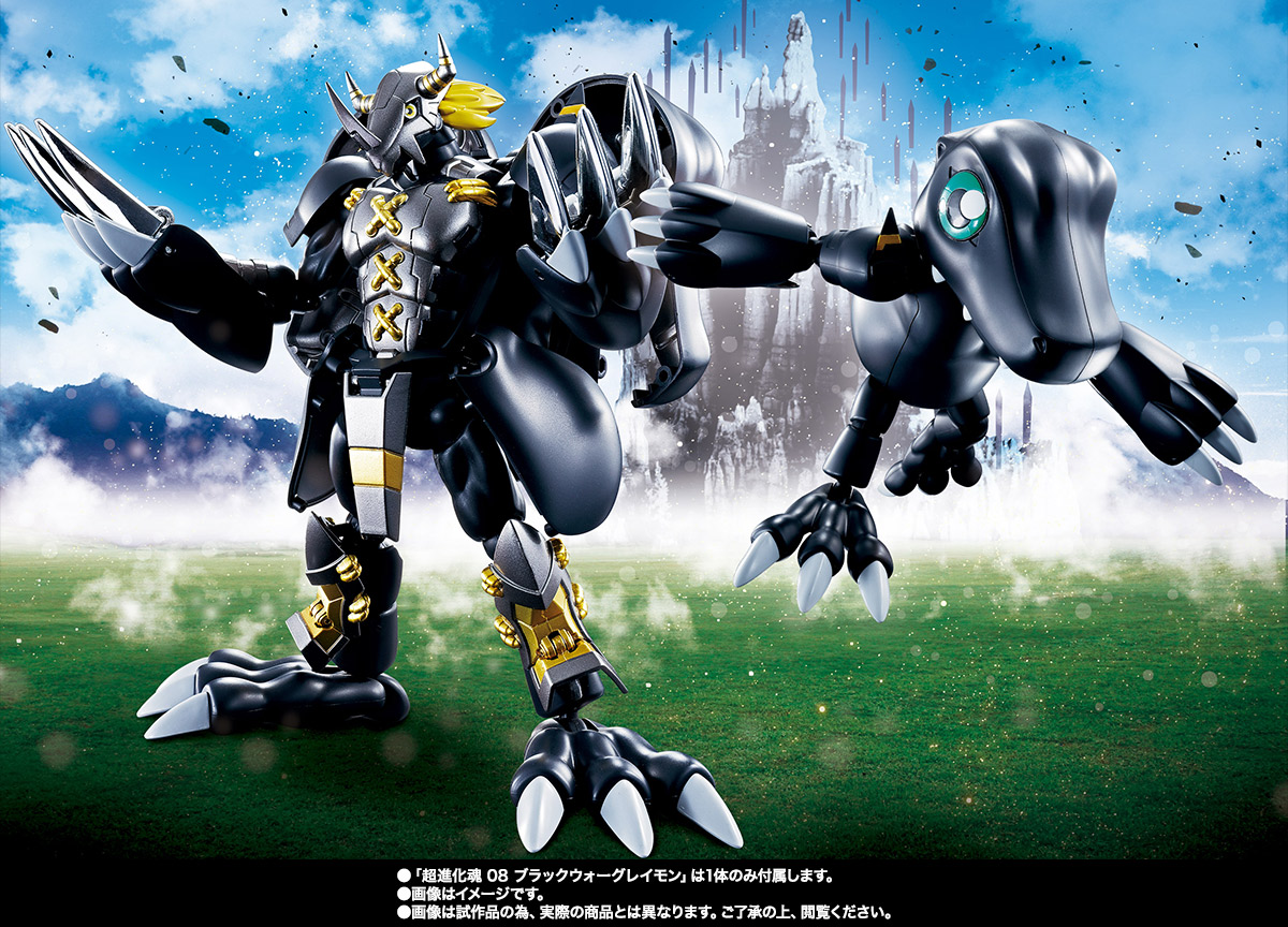 超進化魂 08 ブラックウォーグレイモン | 魂ウェブ