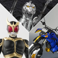 S.H.Figuarts（真骨彫製法） 仮面ライダークウガ アメイジングマイティ