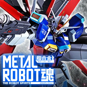 METAL BUILD ストライクフリーダムガンダム 光の翼オプションセット