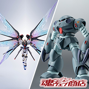 METAL ROBOT魂 ＜SIDE MS＞ ストライクフリーダムガンダム[Re