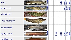 日本淡水魚類愛護会