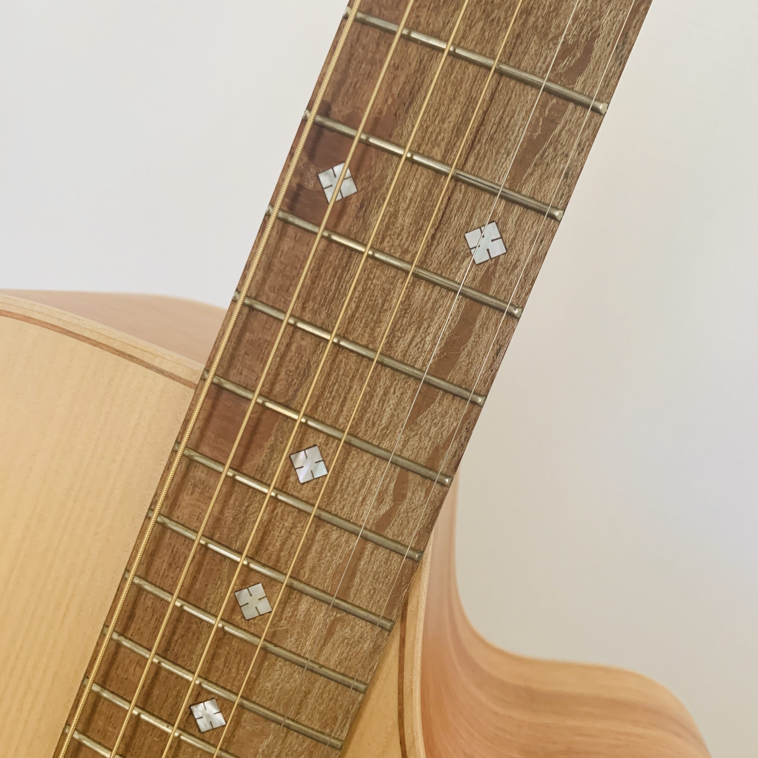 コールクラーク(Cole Clark)のエレアコのレビュー【特徴と音色