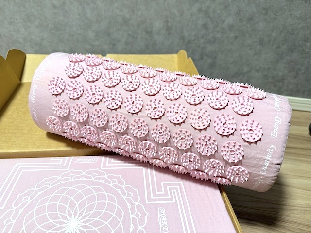 インド発祥のシャクティマットがスゴすぎた】剣山の上で寝る！？美容