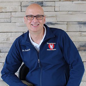 Treating Cat and Dog Cancer in Temperance, MI | Temperance Animal