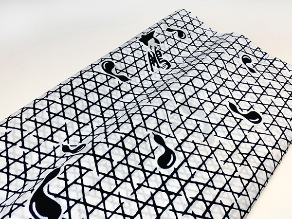 第四十八代横綱 大鵬 オフィシャルサイト