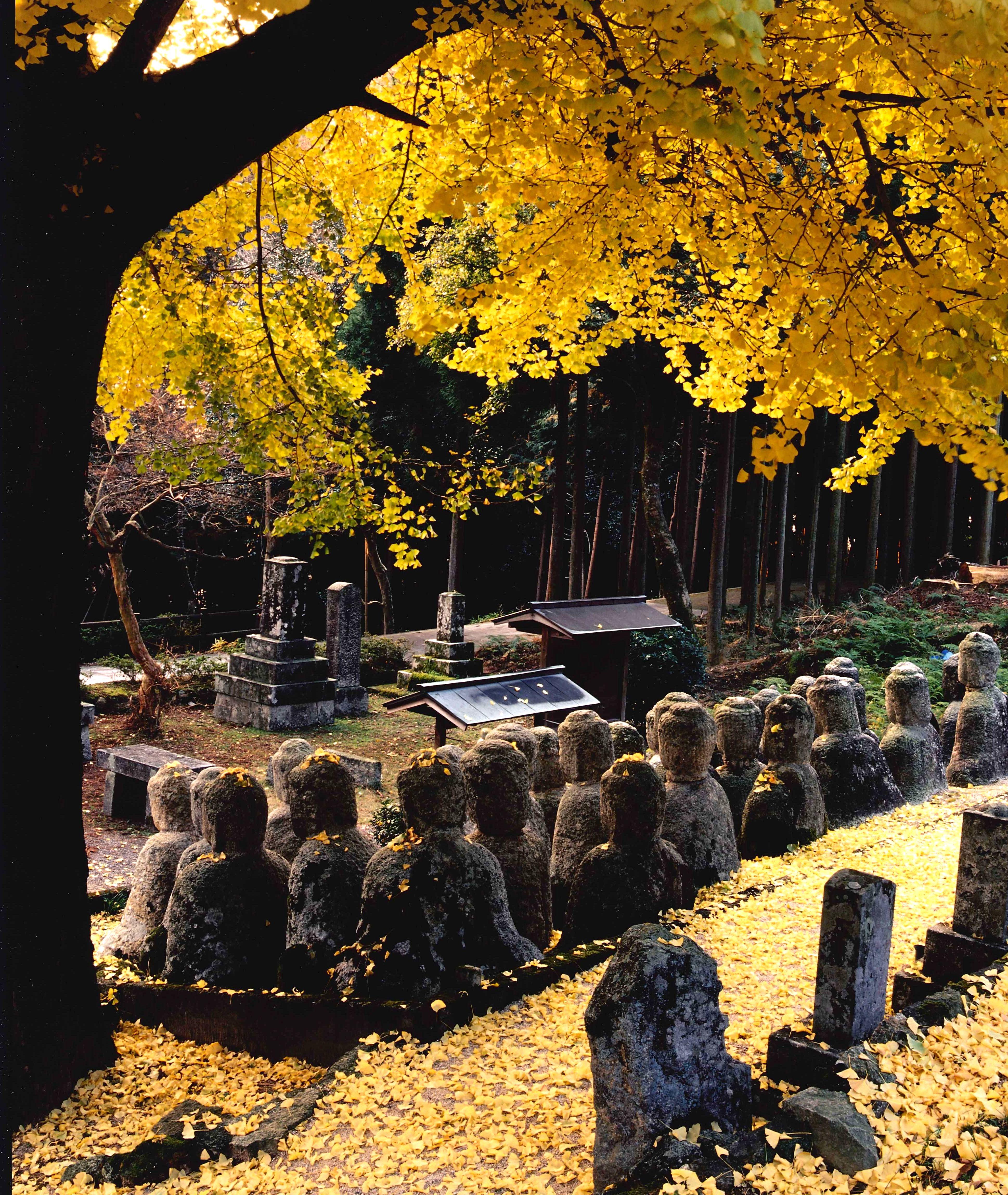 鵜川四十八体石仏群 | びわ湖高島観光ガイド