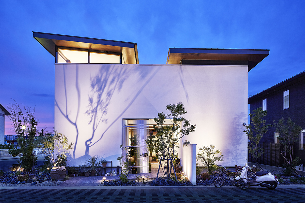 夜の木漏れ日をつくるライト 「木のひかり」のご紹介 | DIGISPOT（デジ