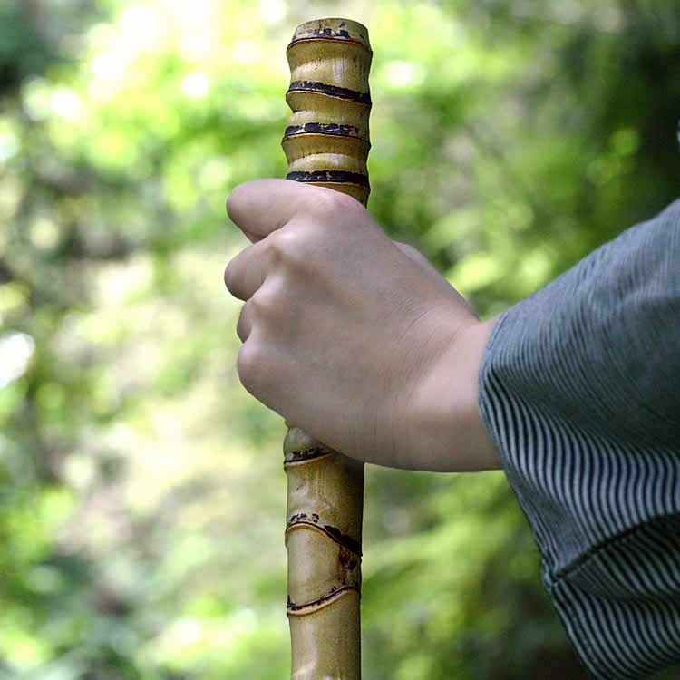 000000000870-01.jpg?size=m&w=