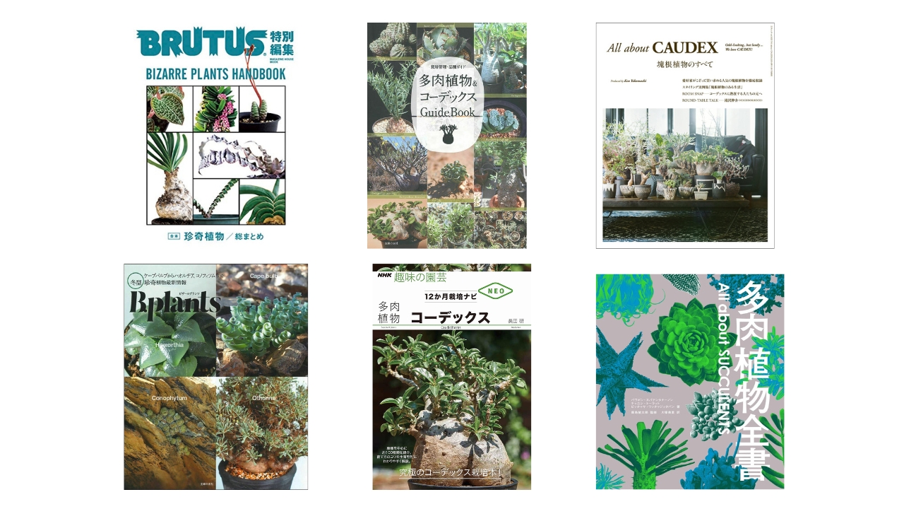 塊根植物（コーデックス）の魅力を極める！おすすめ書籍10選【初心者