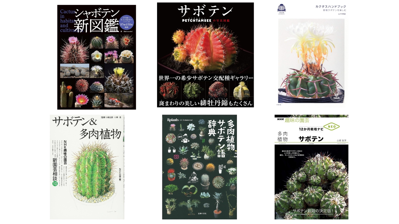 サボテン愛好家必見！初心者からプロまでおすすめ書籍13選【2026年最新