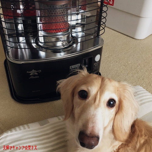 Aladdin AKP-S248 ストーブ　反射式ストーブ　ブラック Aladdin AKP-S248 ストーブ 反射式ストーブ ブラック アラジンの反射式