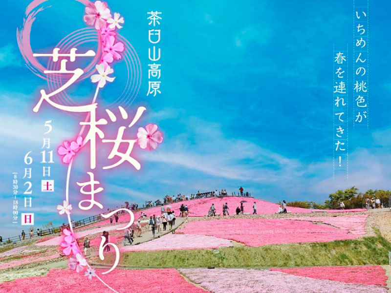 茶臼山高原 芝桜まつり2024 - TASUKI(タスキ)