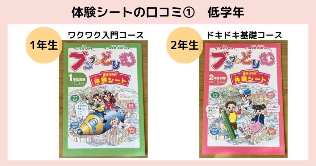 ブンブンどりむの口コミ！中学受験の記述対策に役立つか本音で解説
