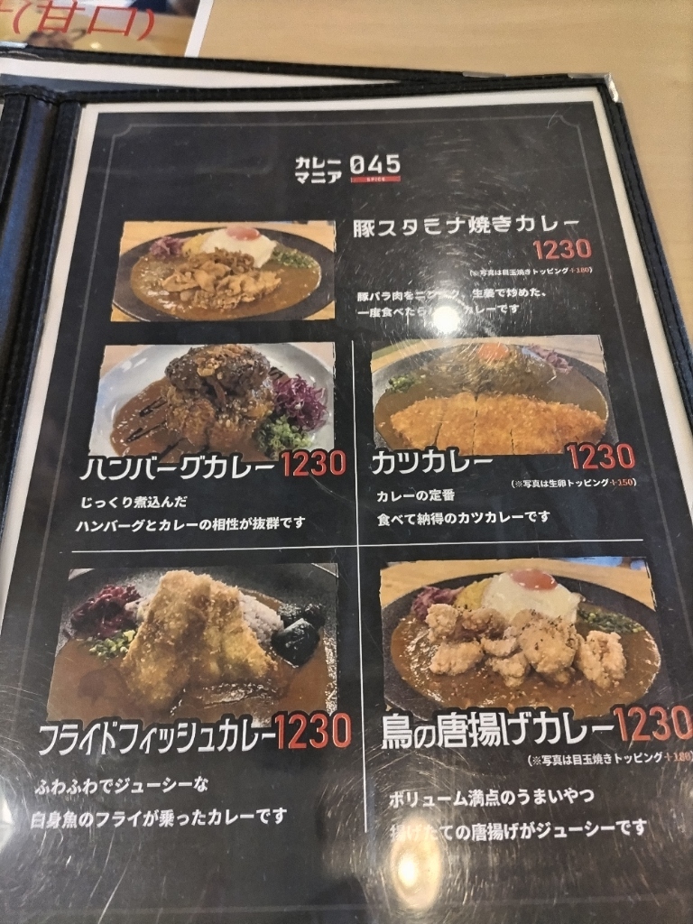 メニュー写真 : カレーマニア045-SPICE- 伊勢佐木町店 - 関内/カレー