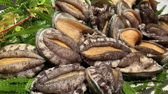 舞桜のご予約 - 銀座一丁目/居酒屋 | 食べログ