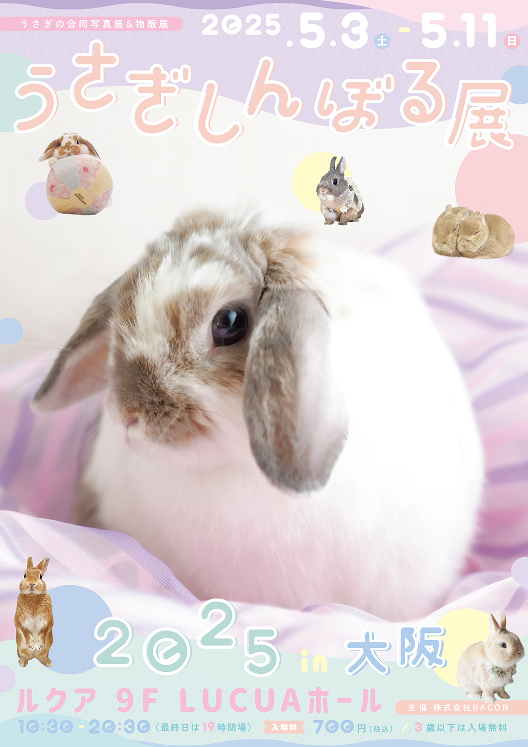 うさぎの合同写真展＆物販展「うさぎしんぼる展 2025 in 大阪」
