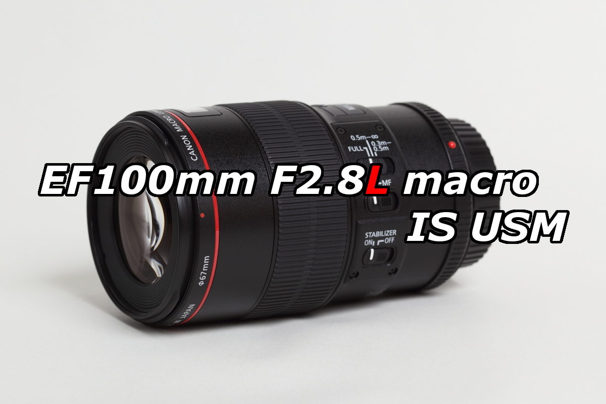 ジャンク】 Canon EF100mm F2.8Lマクロ IS USM 【公式通販】