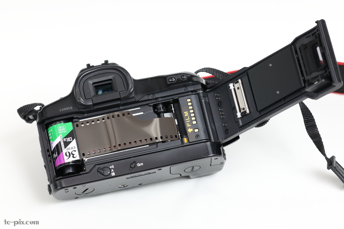 フィルム、ノスタルジック。（EOS-1Nの使い方） | てぴっくす