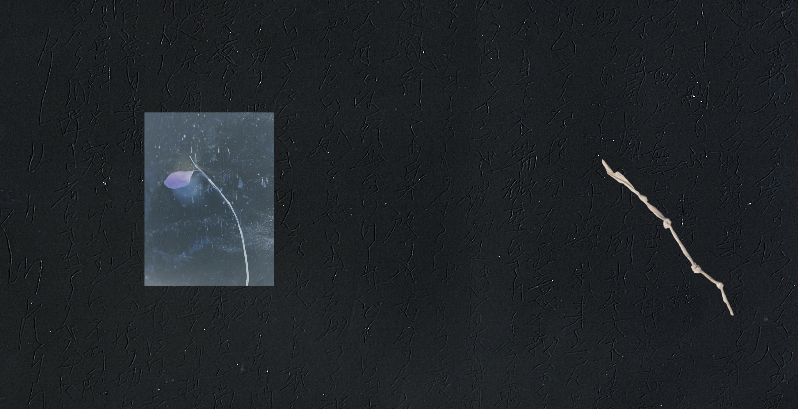 志人 × DJ DOLBEE – 明晰夢 ～Lucid Dreams～ [CD] | TempleATS Online