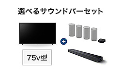 5年ベーシック保障＆プレミアム設置設定サービスが無料！ ブラビアと