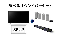 5年ベーシック保障＆プレミアム設置設定サービスが無料！ ブラビアと