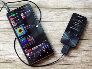 SONY RM-30BPの代わりに SONY RM-30BPの代わりに SONY RM-30BPの代わりに