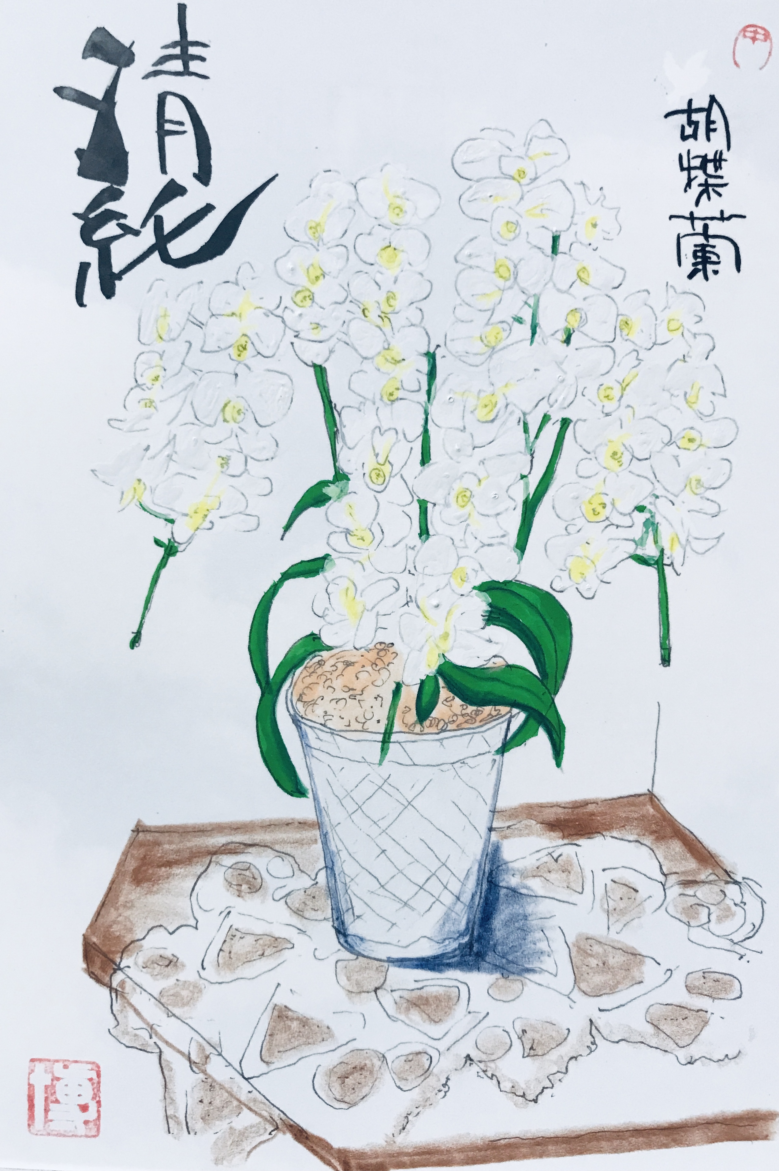 白の胡蝶蘭 | 絵手紙 交流ひろば - てがみ倶楽部絵手紙 交流ひろば