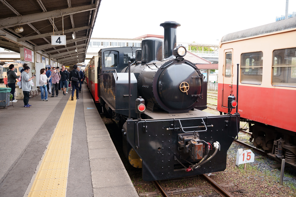 千葉県市原市】市原はたちトロッコ とっとこせのび旅【市原はたち