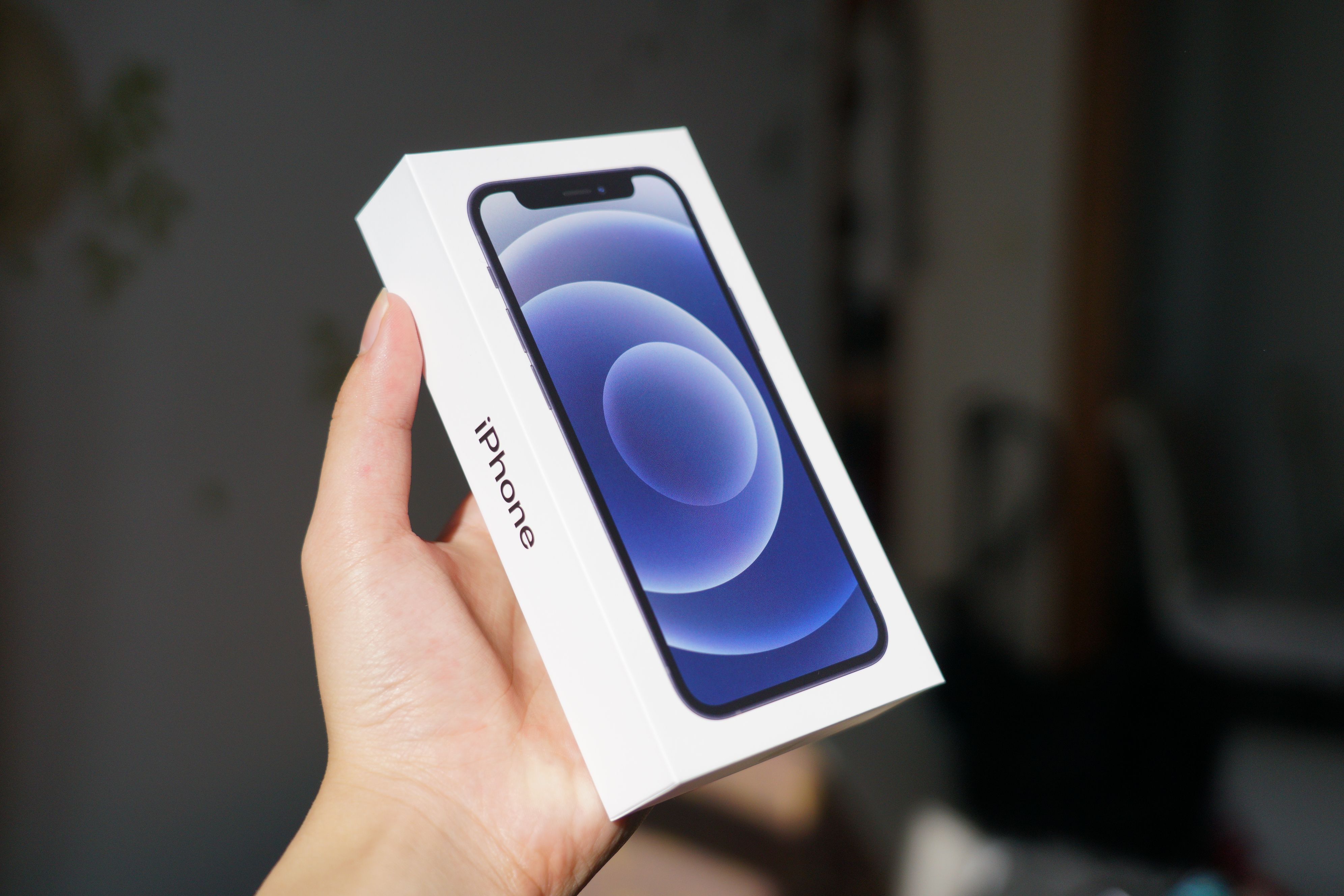 iPhone 12 mini ブラックフォトレビュー：このサイズを求めてた