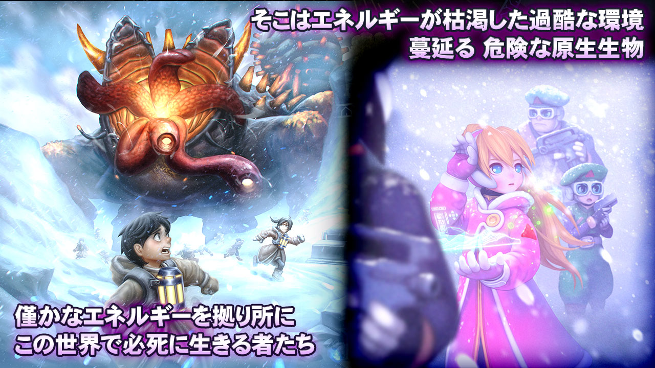 新カードセット