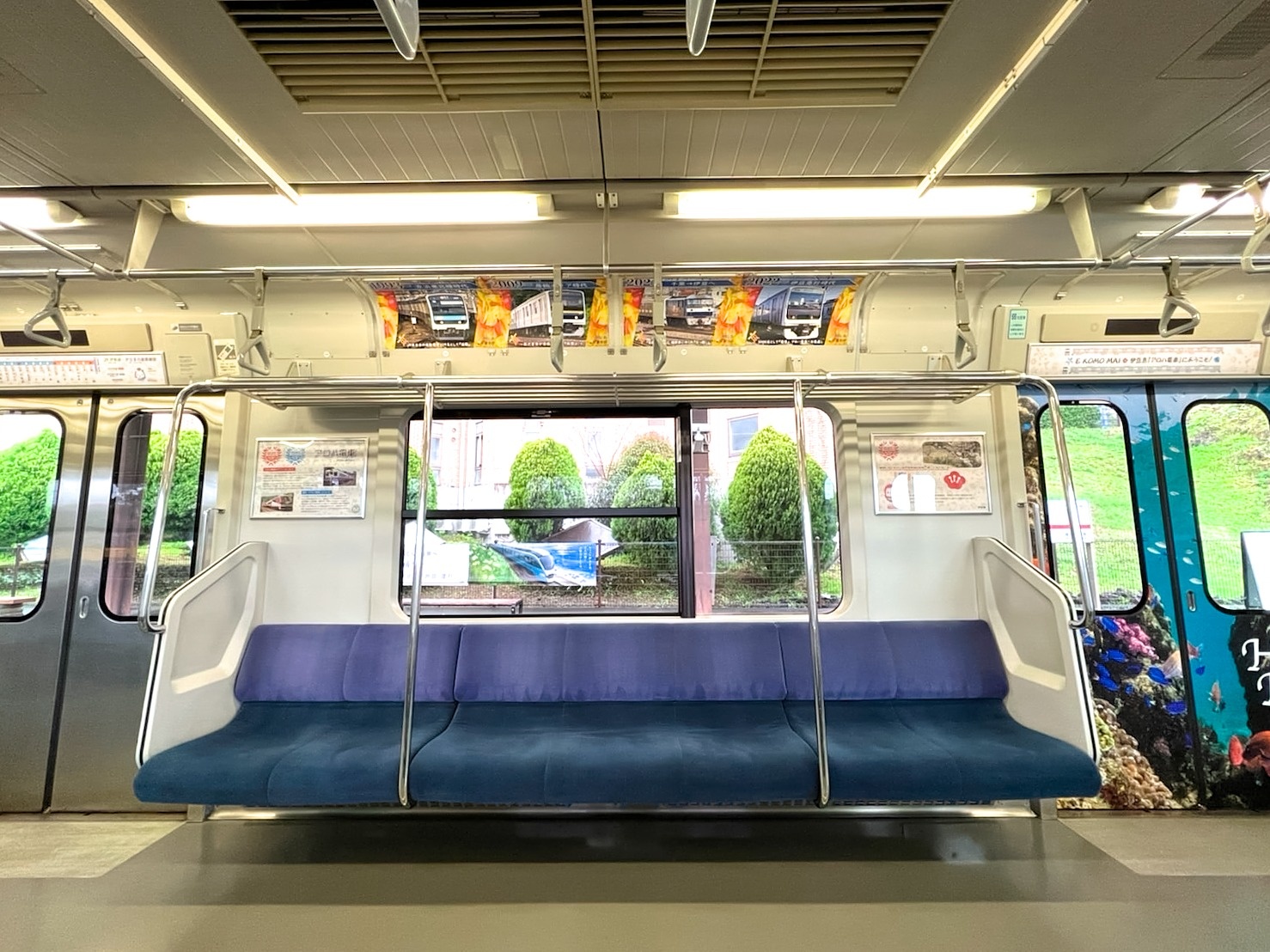 お披露目レポ】伊豆急行3000系「アロハ電車」 | 話題 | 鉄道新聞