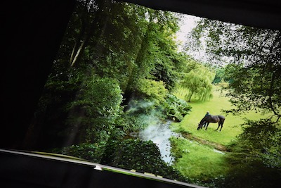 写真集「ウオッカinアイルランド」豪華版 関真澄 | サラブレッドアート