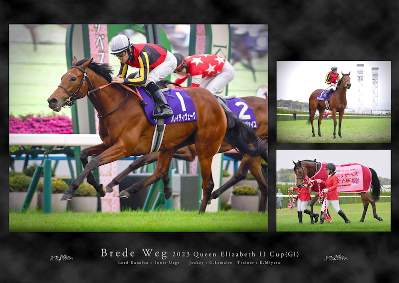 有馬記念・皐月賞優勝記念○スタイルパネル○ミュージアムマイル