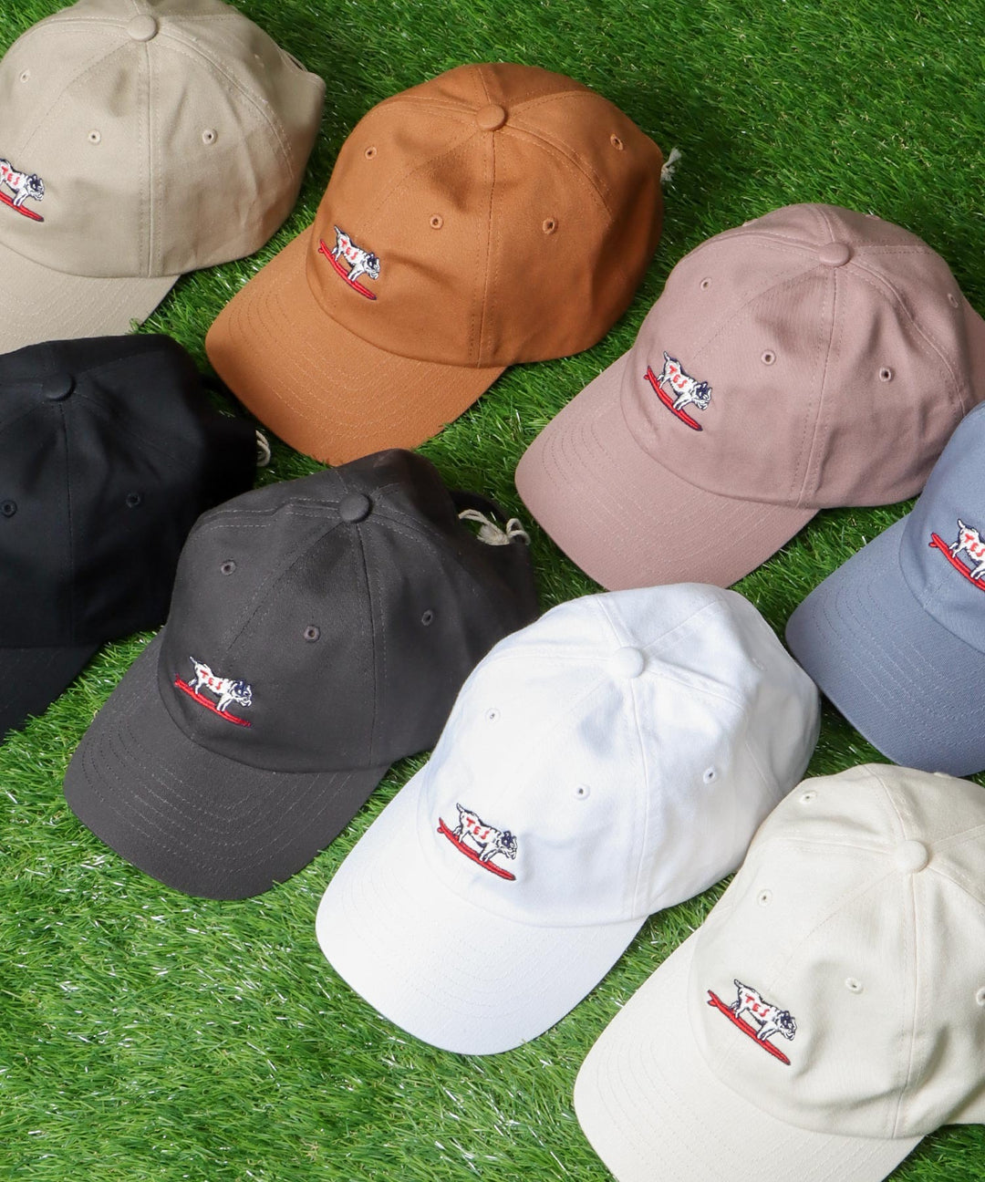 一部再入荷》[新カラー追加] TES HUNTINGTON LOW CAP / キャップ – TES