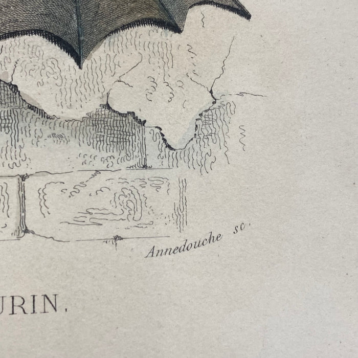 French Antique 18th Century 