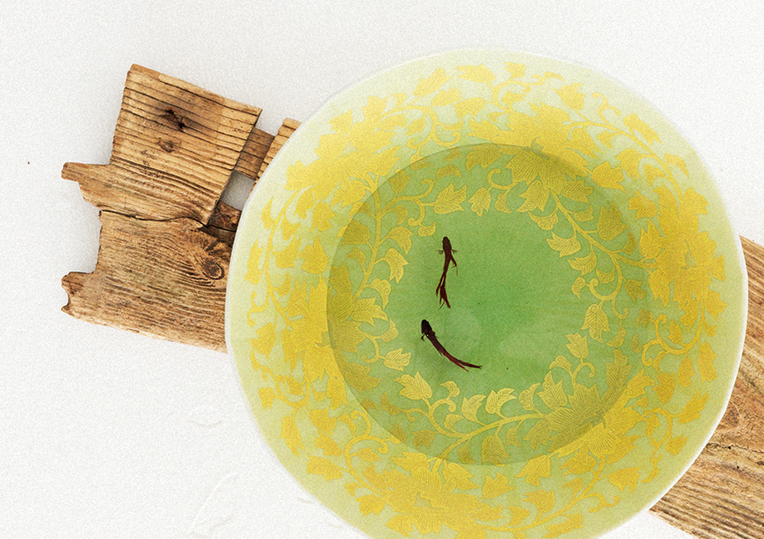 香蘭社謹製】染錦 蘭つなぎ 花瓶【希少美品】 香蘭社謹製】染錦 蘭