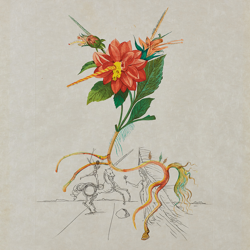 the impact of your support - Salvador Dalí Museum