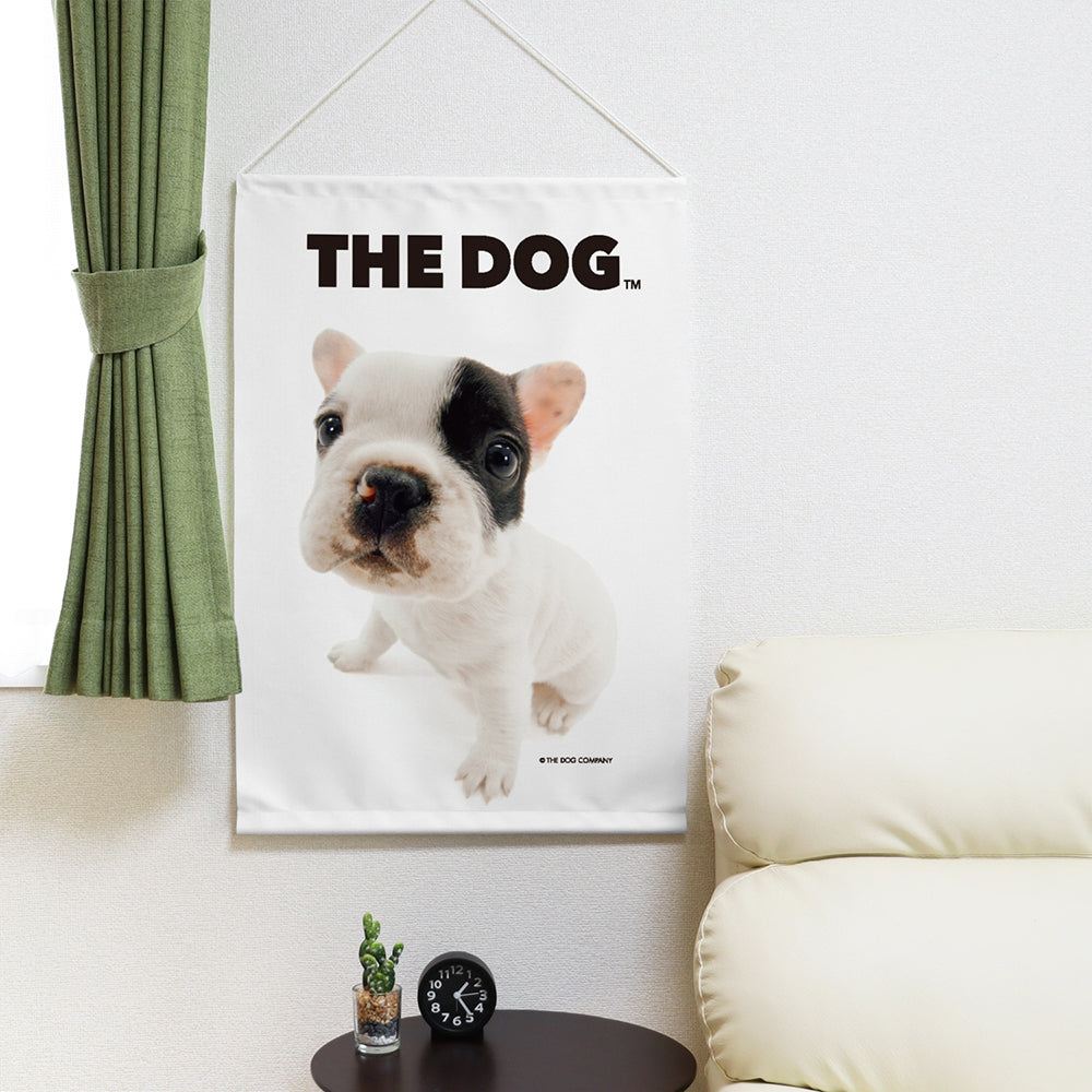 French Bull Dog | The Dog Store | The Dog Official Online Shop