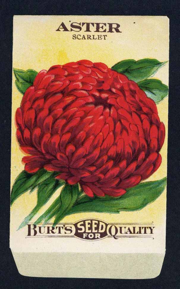 Vintage Seed Packets 1900-1940 – thelabelman