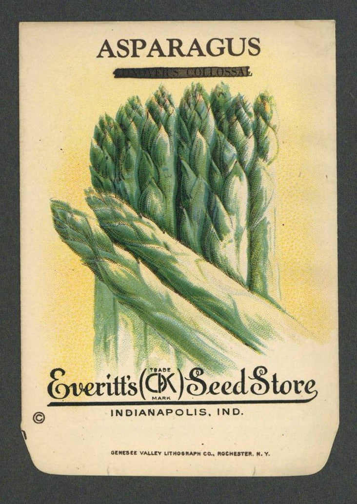 Vintage Seed Packets 1900-1940 – thelabelman