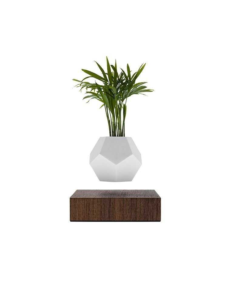 Lyfe フローティング鉢植え - FLYTE | THÉM