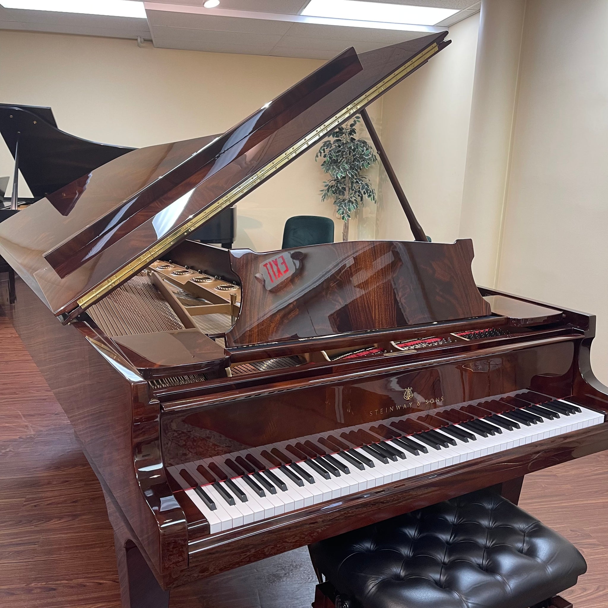 1880 Steinway Model D Concert Grand - Pyramid Mahogany