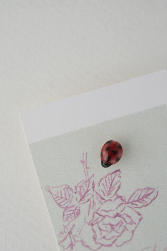 小菅幸子 - JOURNAL - THE STABLES