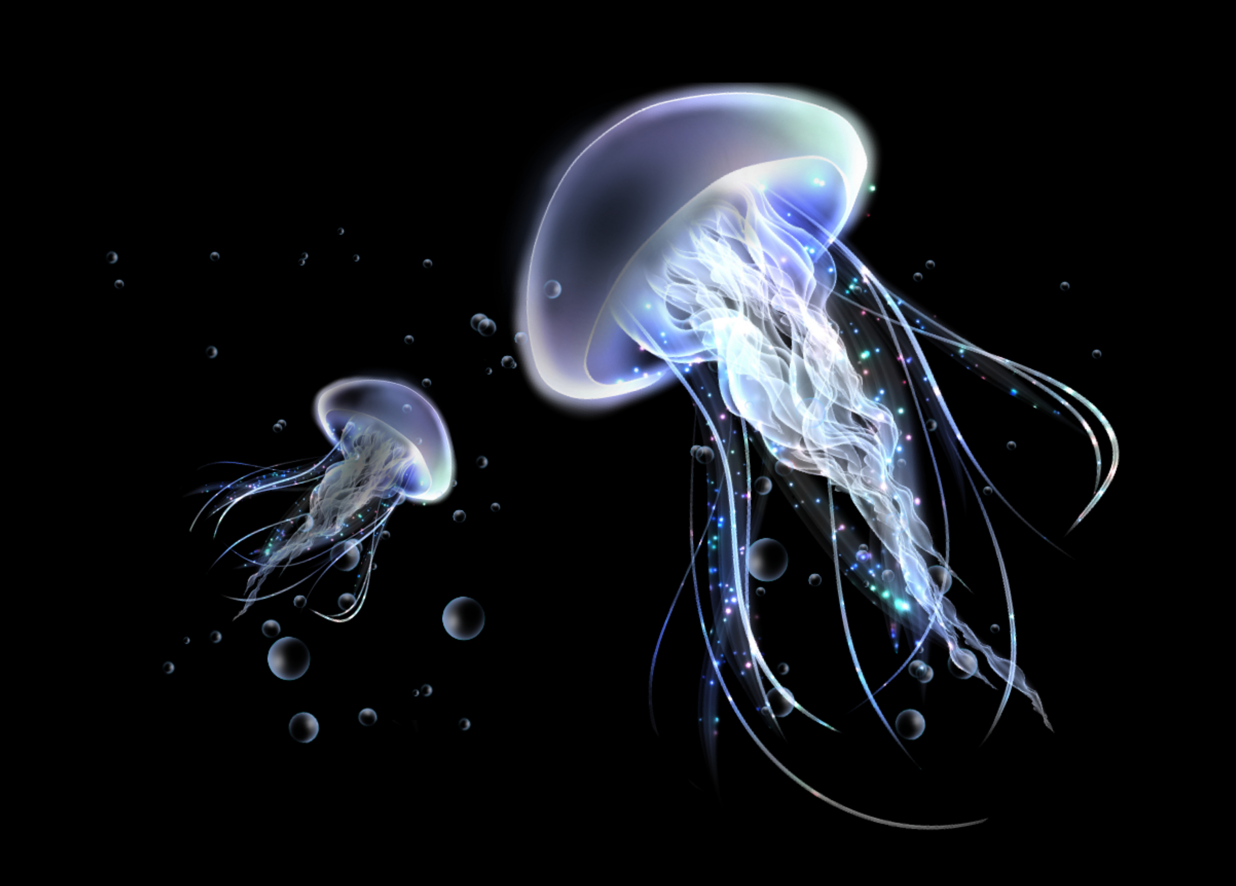 くらげ | クラゲチャン ｜インテリア絵画 アートの専門通販