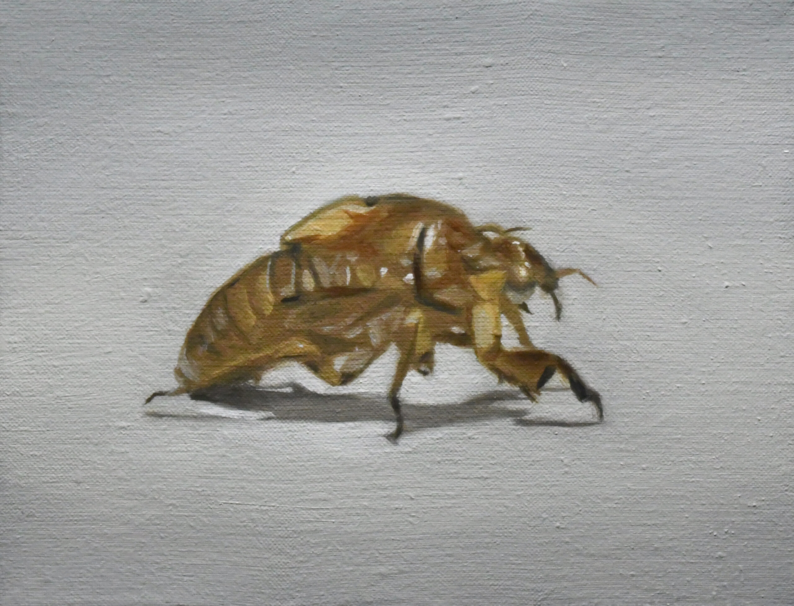 蝉の抜け殻 | 大谷尚哉 ｜インテリア絵画 アートの専門通販