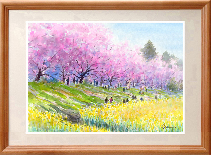 水彩画原画 桜堤と菜の花 | syoumei ｜インテリア絵画 アートの専門