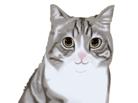 もちまるイラスト - No: 2568185｜無料イラスト・フリー素材なら