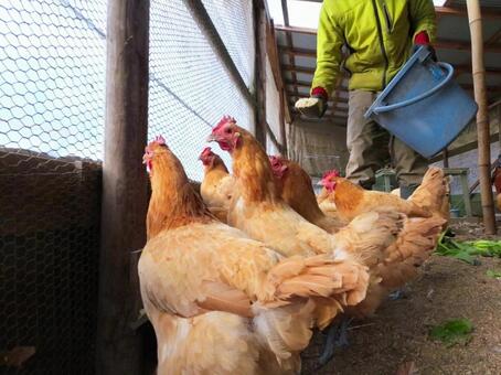 家畜小屋の写真素材｜写真素材なら「写真AC」無料（フリー）ダウンロードOK